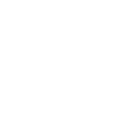 tierwissen hund outline